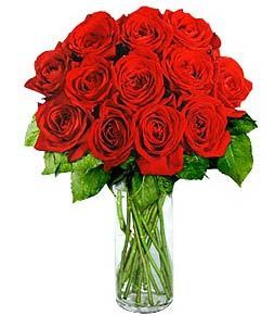 Red Roses 12 Love Lebanon
